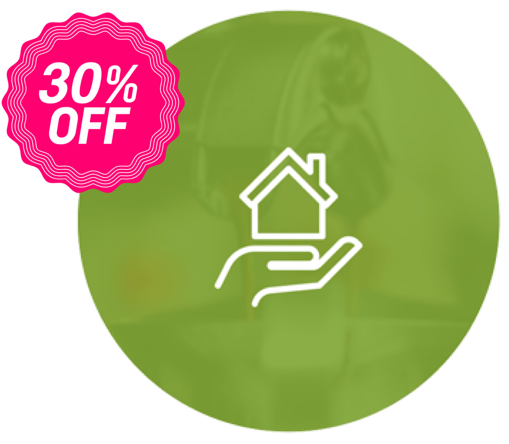 30% off on sale icon
